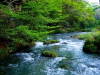 加賀温泉（nhayashidaさん撮影、flickrより）