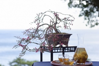 株式会社星野リゾートのプレスリリース画像