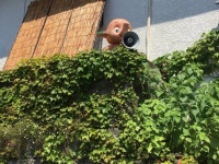 saywhatchugotta（＠saywhatchugotta）さんのツイート
