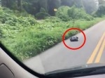 ゴミ袋が動いている！　中を開けてみると驚きのものが…