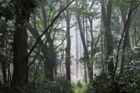 社会人に聞いた、飽きずに何度でも観てしまう映画Top5！ 1位はジブリのあの名作