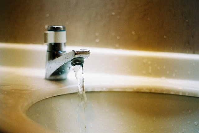 蛇口から何が出て欲しい？（MIKI Yoshihitoさん撮影,flickrより）
