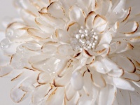 キレイなお花にしか見えないけれど...　衝撃の〝正体〟に2.4万人驚がく「絶対気付かない...」