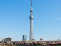 新旧対決！ 東京タワーorスカイツリー、大学生カップルに人気なデートスポットはどっち？