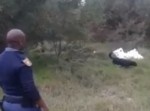 「助けてくれ！」 強面の警官も逃げ出すほど”〇〇”が怖かった…