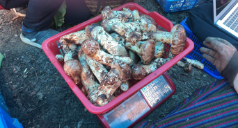 株式会社エフユーアイジャパンのプレスリリース画像