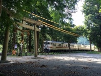 境内を走る電車（T-mercuryさん撮影、Wikimedia Commonsより）