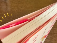 邪魔だけど、取っておきたい「本の帯」　超合理的な収納方法に目からウロコ