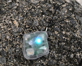 株式会社ソリッドアライアンスのプレスリリース画像