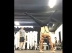 サーカスの芸人が曲芸の練習を撮影していたら…　予想外のハプニングが！！