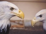 お笑い芸人が教えてくれるガチの薄毛予防法とは！？