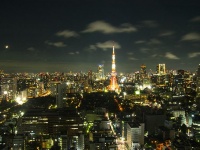 王道だけどやっぱり人気