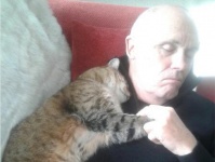 手術を終え退院し自宅で眠る男性をいたわるように寄り添う猫。でも飼い猫じゃなかった件にネットが騒然！