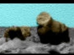 【衝撃】火星にて、ゴリラのようなものが撮影される！？
