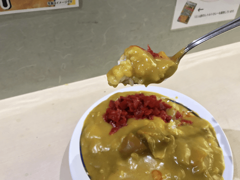 新潟県はグルメの宝庫☆　海の幸だけでなく、カレーやカツ丼など、意外なメニューも大人気！#2