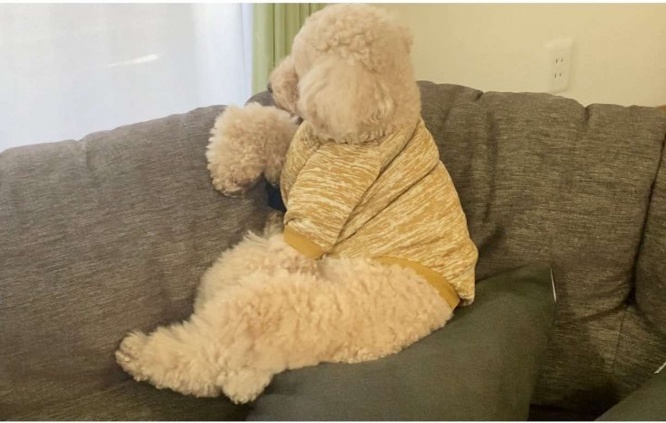 哀愁漂ってる...（画像は＠roaroa203さん提供）