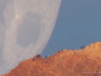 コラかと思ったらマジだった！月がぐんぐん地球に迫ってくる戦慄の動画（NASA)