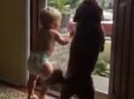 パパ帰ったで！　赤ちゃんとワンコが熱狂しすぎwww