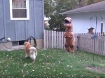 【ドッキリ動画】犬VS恐竜のバトルが勃発。その結果はまさかの…