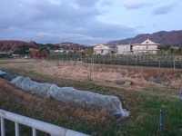 ＮＰＯ法人トイボックスのプレスリリース画像