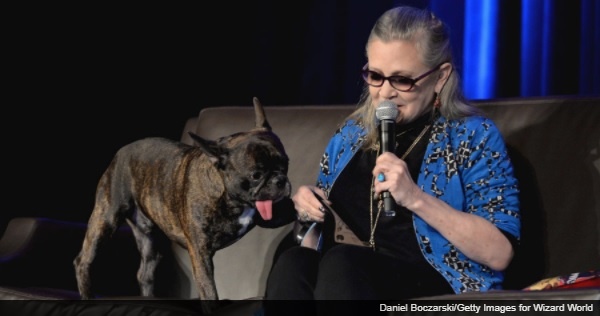 『スター・ウォーズ／最後のジェダイ』に、キャリー・フィッシャーの愛犬がモチーフのキャラクターが登場