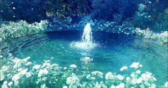 天国って群馬県にあったんだ？　噴水を囲むたくさんの白いバラ...西洋絵画のような光景にうっとり
