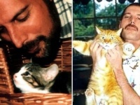 人生最後の写真も猫と共にあった。伝説のロックバンド、クイーンのボーカリスト「フレディマーキュリー」と彼の愛した猫たち