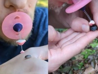 昆虫好き以外はここで退場。虫と安全にキスできる器具が発明される