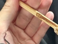 「だから宿題を先にやる必要があったんですね」　夏休み〝RTA〟みたいな光景に11万人大興奮