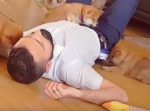 ご主人が『死んだフリ』をしたら子犬たちはどんな反応をする？