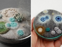ペトリ皿に繁殖するカビや細菌を、フェルトや刺繍などの手芸で表現。新たなる小宇宙が生まれたようだ。