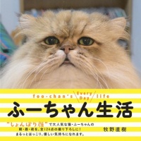 “しょんぼり顔”猫のふーちゃんが写真集に！　『ふーちゃん生活』8月22日発売