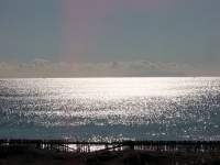 写真は湘南海岸（alonflocさん撮影, Wikimedia Commons