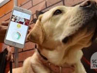 犬や猫の気持ちを動作から読み取るハイテク首輪が登場（ウェアラブルEXPO）