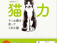 人間が猫から学ぶべき３つの大切なこと