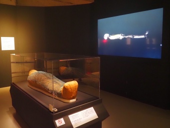 タケネメトのミイラ／前700年頃