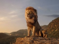 ライオン・キングのような「動物の王」って本当にいるの？ ライオンの生態について飼育員さんに聞いてみた！