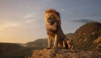 ライオン・キングのような「動物の王」って本当にいるの？ ライオンの生態について飼育員さんに聞いてみた！