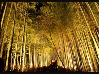 京都・嵐山のイメージ（Keiko Shihさん撮影、Flickrより）