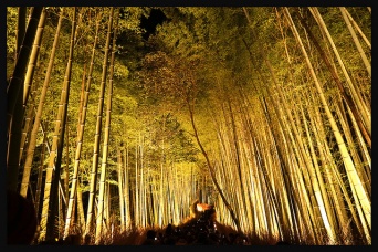 京都・嵐山のイメージ（Keiko Shihさん撮影、Flickrより）