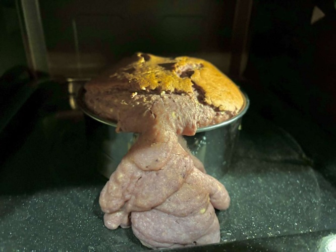 動き出しそう...（画像は投稿者提供）