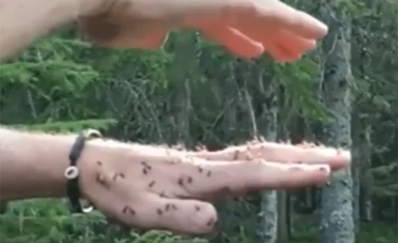 スクリーンショット-(1520)