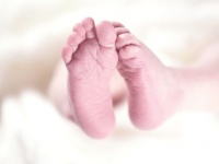 体外受精を試みた夫婦、別の夫婦の遺伝子を持つ双子を出産。不妊治療クリニックを提訴（アメリカ）