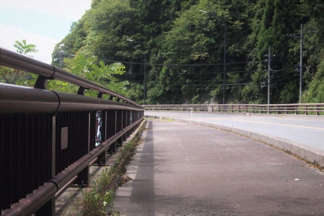 いたって普通の巨根橋(画像提供:米子力研究所さん)