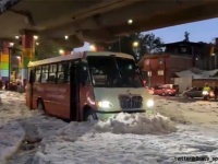 信じられないだろ？これ夏なんだぜ。雪景色のように見えるメキシコを襲った大量の雹