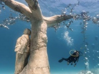 印象的な人工魚礁で陸と海をつなぐ、水中彫刻美術館がキプロスにオープン