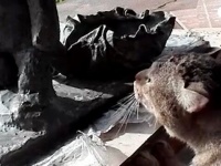 猫、できたての像に体アタック。出来立てほやほやの像に全身で突撃するも推定無罪