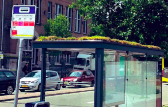 バス停の屋根に植物を植えてミツバチが気軽に立ち寄れる場所に。オランダで始まった人とミツバチが共存できる取り組み