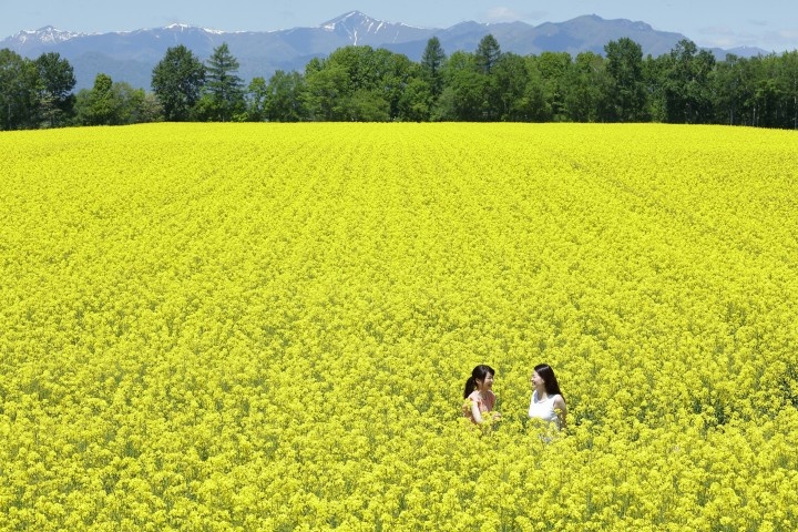 株式会社星野リゾートのプレスリリース画像