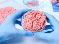 2040年、世界の肉の60％が人工肉に置き換わると予測される（米研究）
